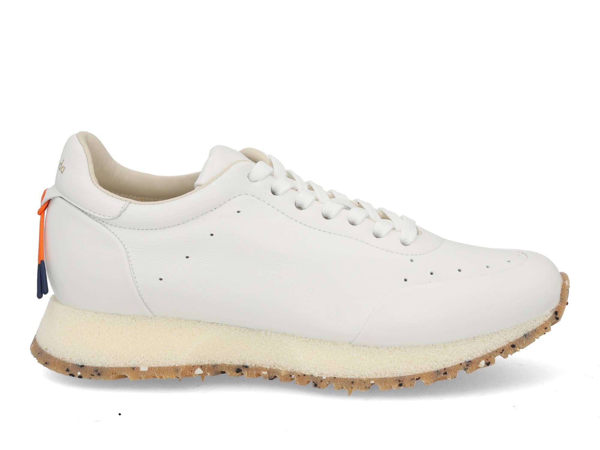 Barracuda BD1201 bianco Wit