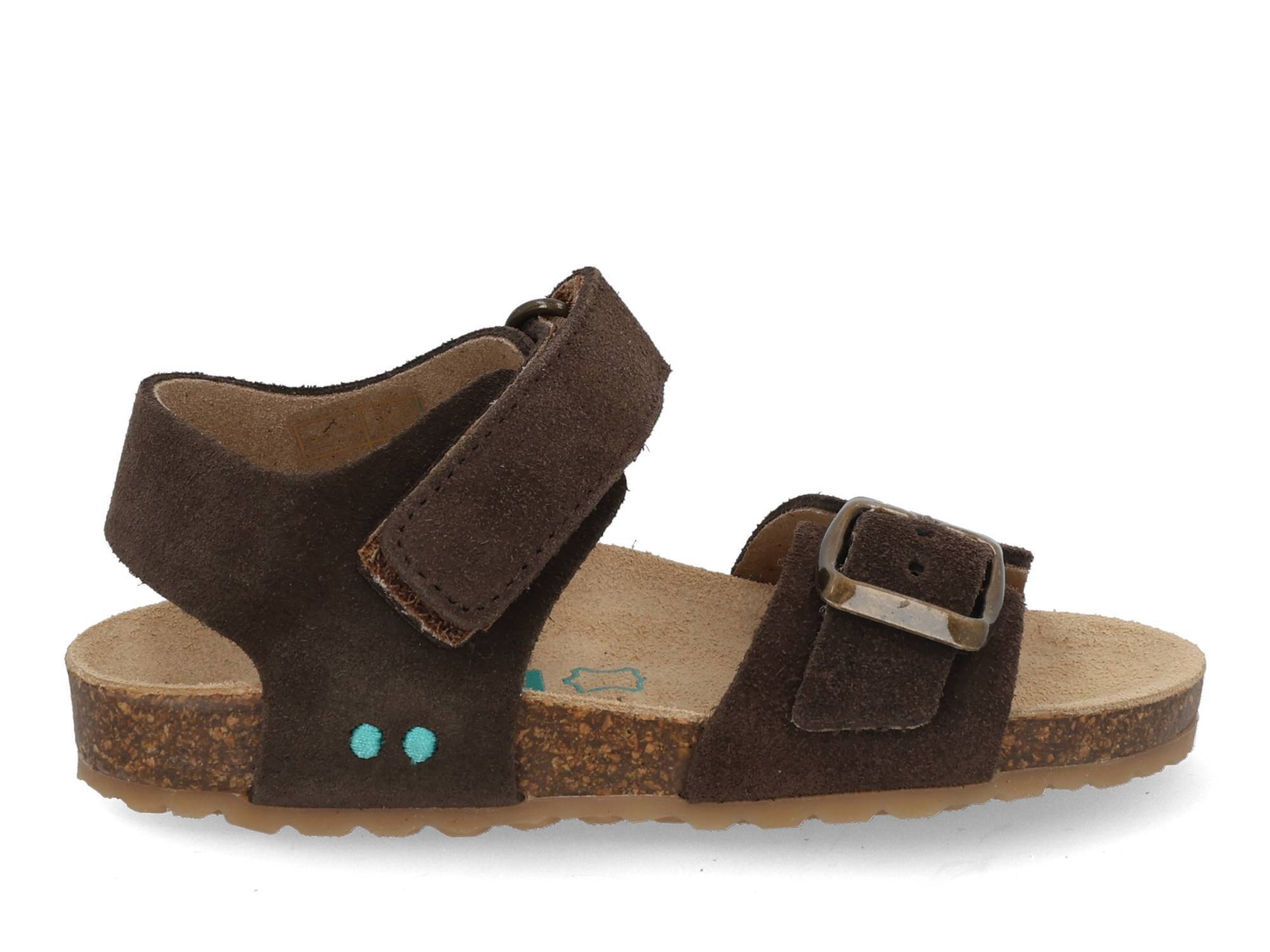 Bunnies Ben Beach 226416 417 dark brown Bruin