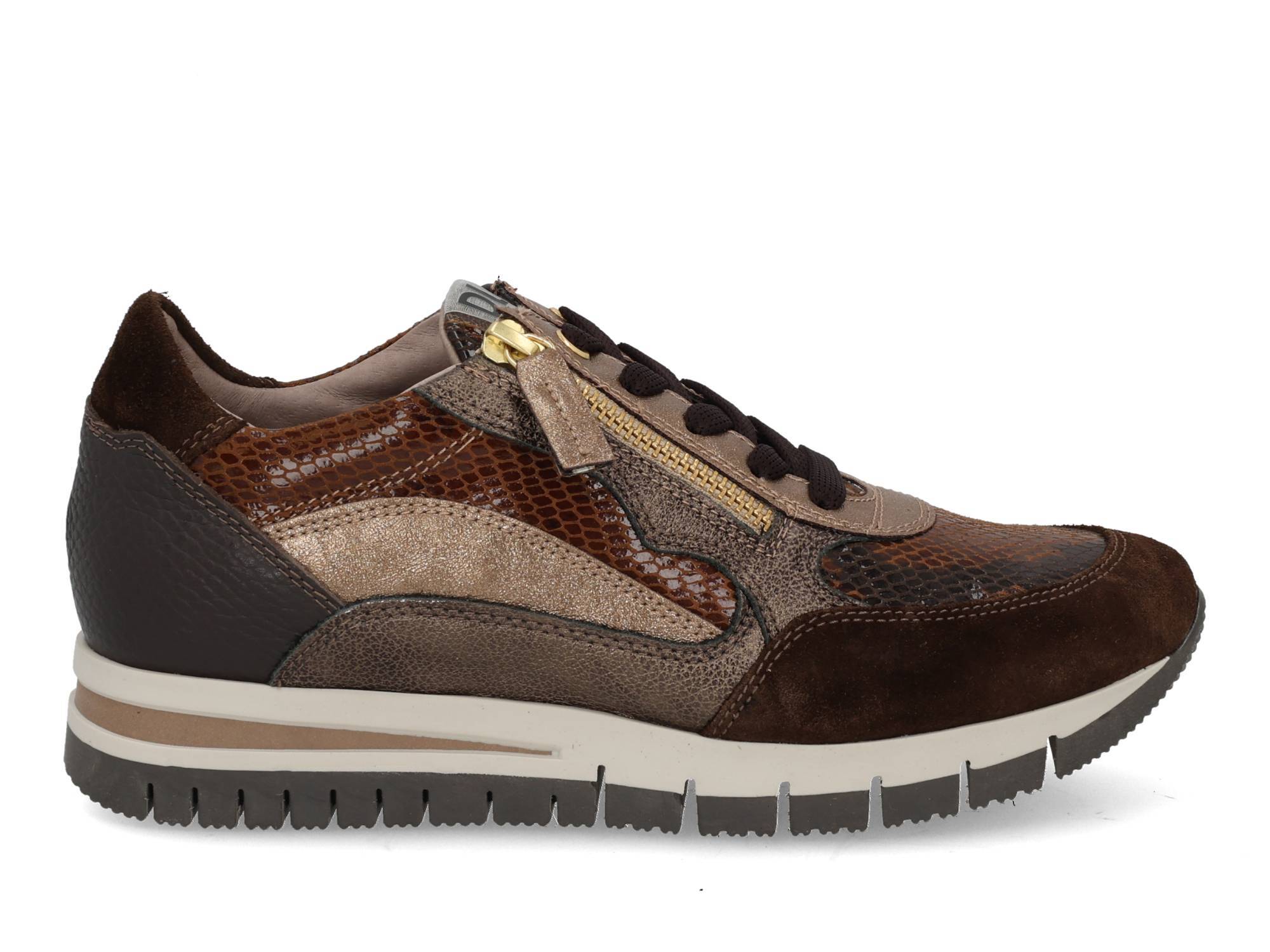 DL Sport 6725 vers 02 cacao multi bruin 