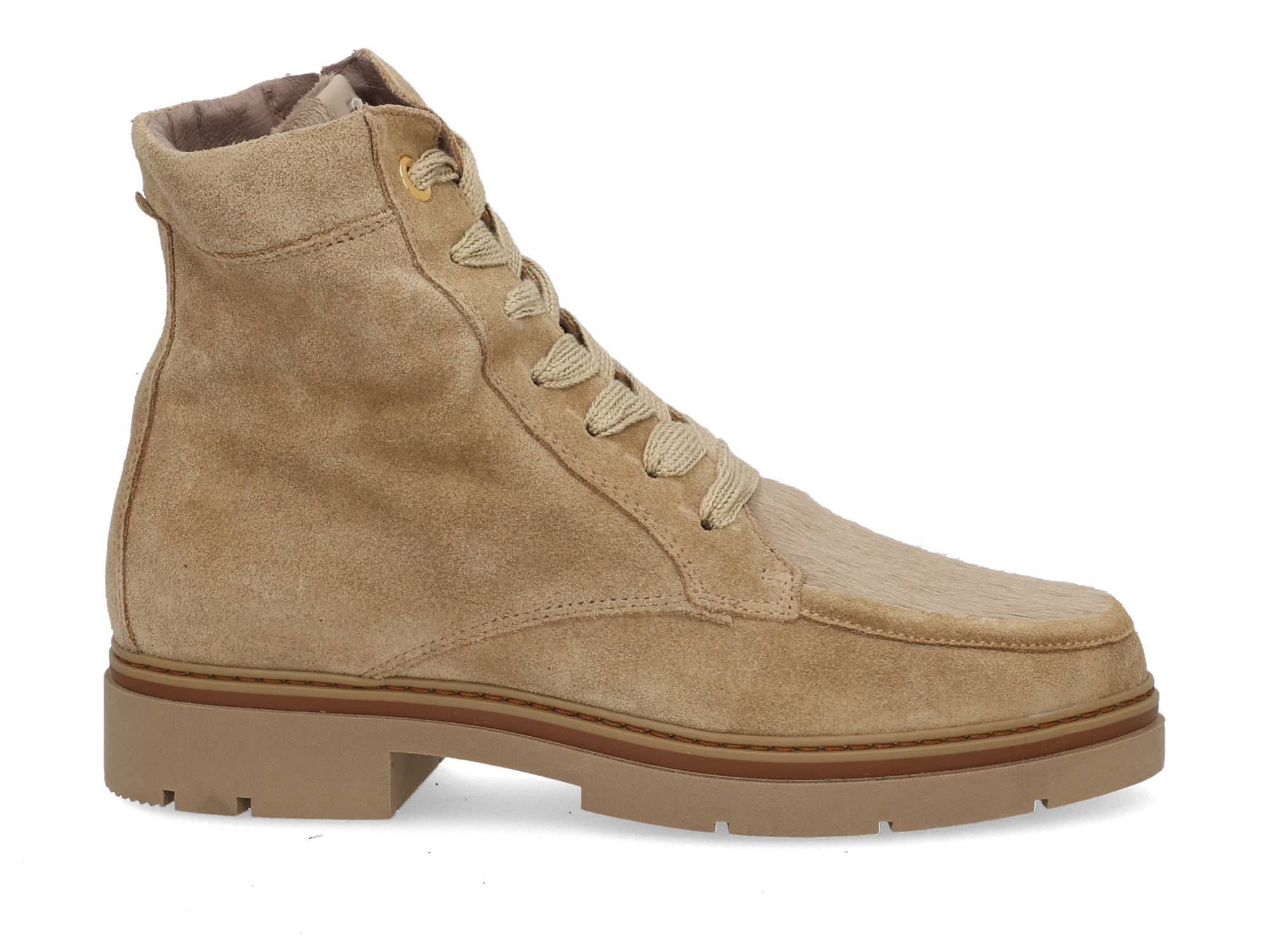 DL Sport 6768 vers 08 tappo Beige 