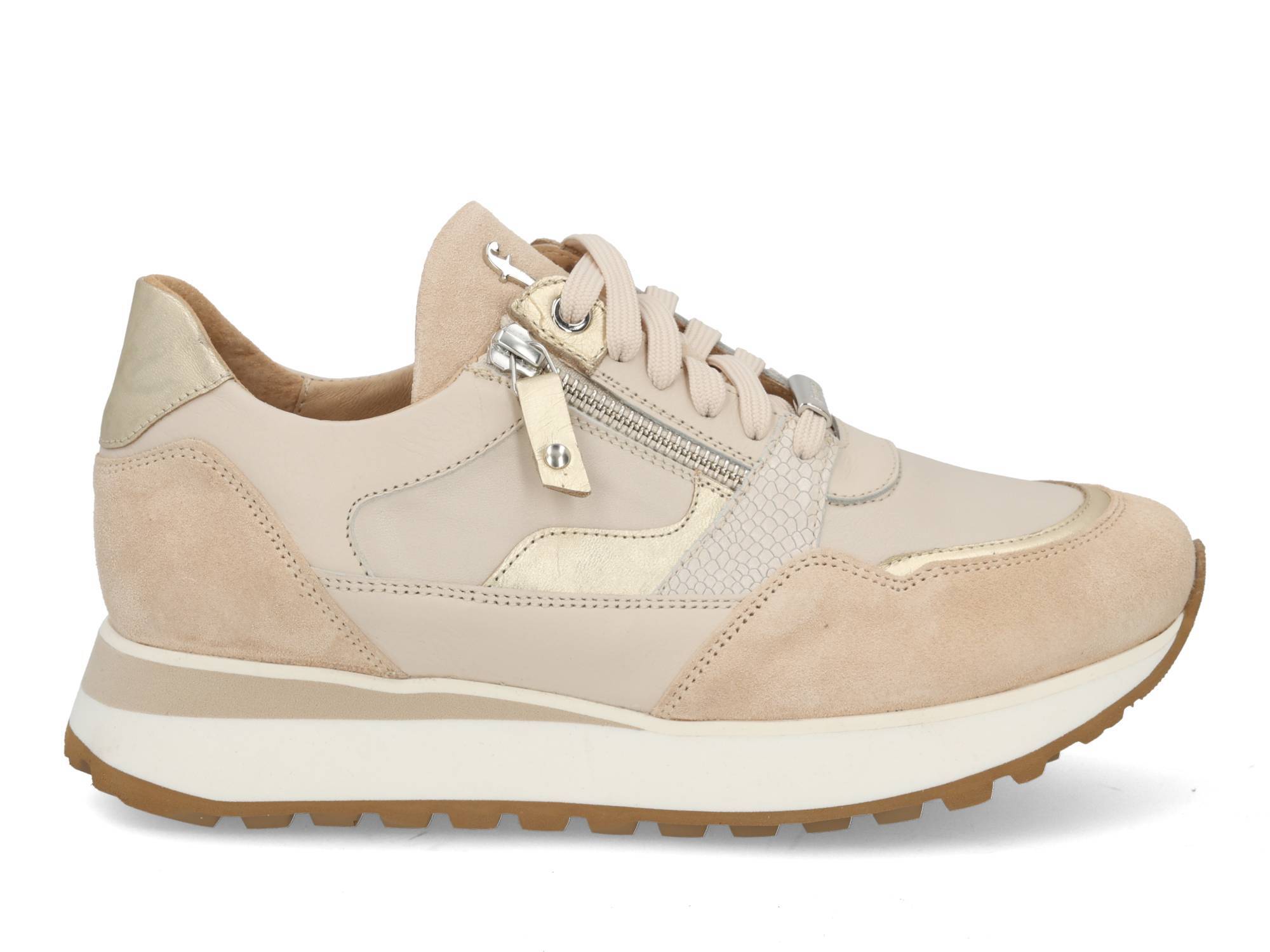 Footnotes 31007 creme Beige