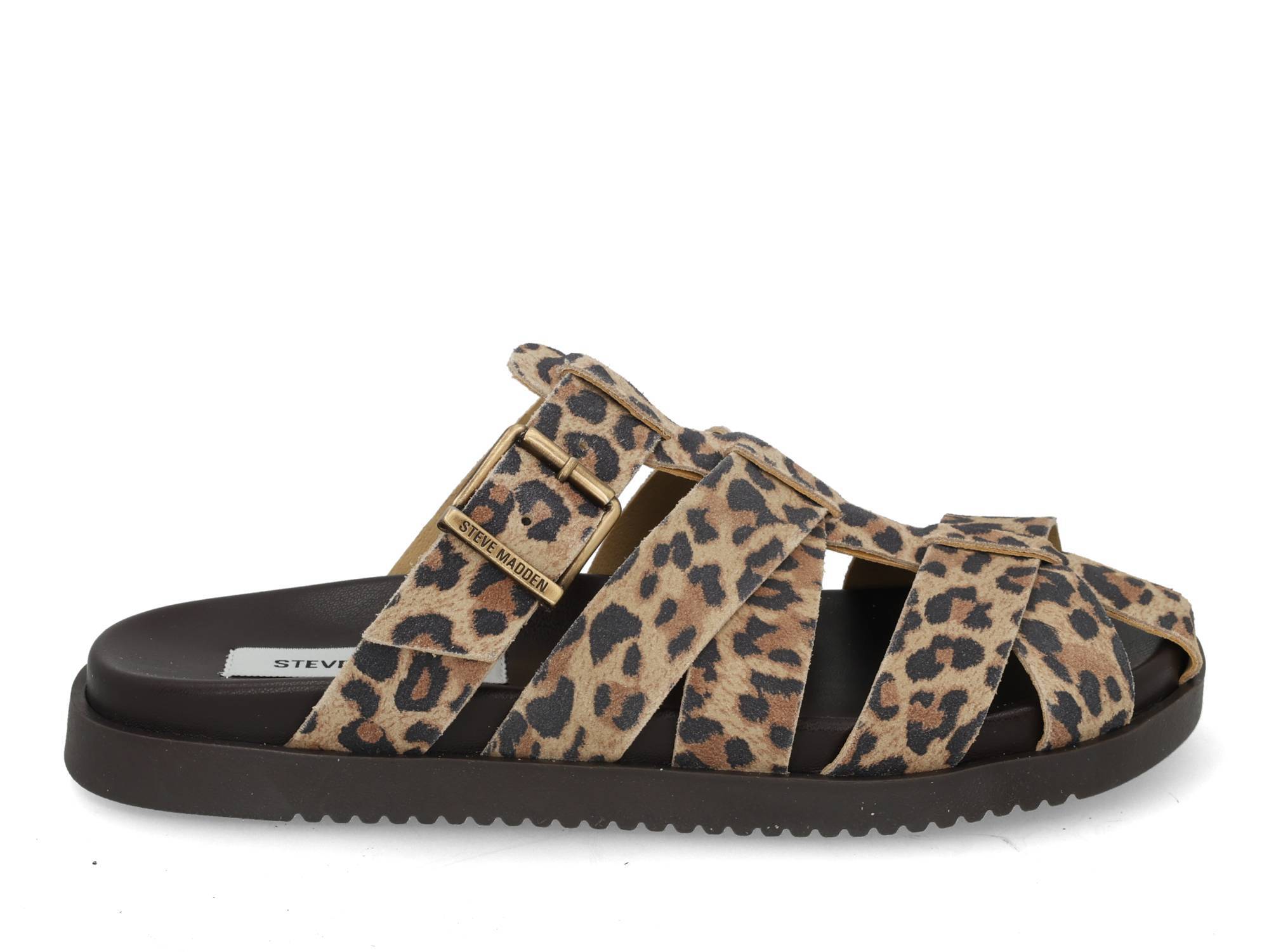 Steve Madden Mamba leopard multi bruin