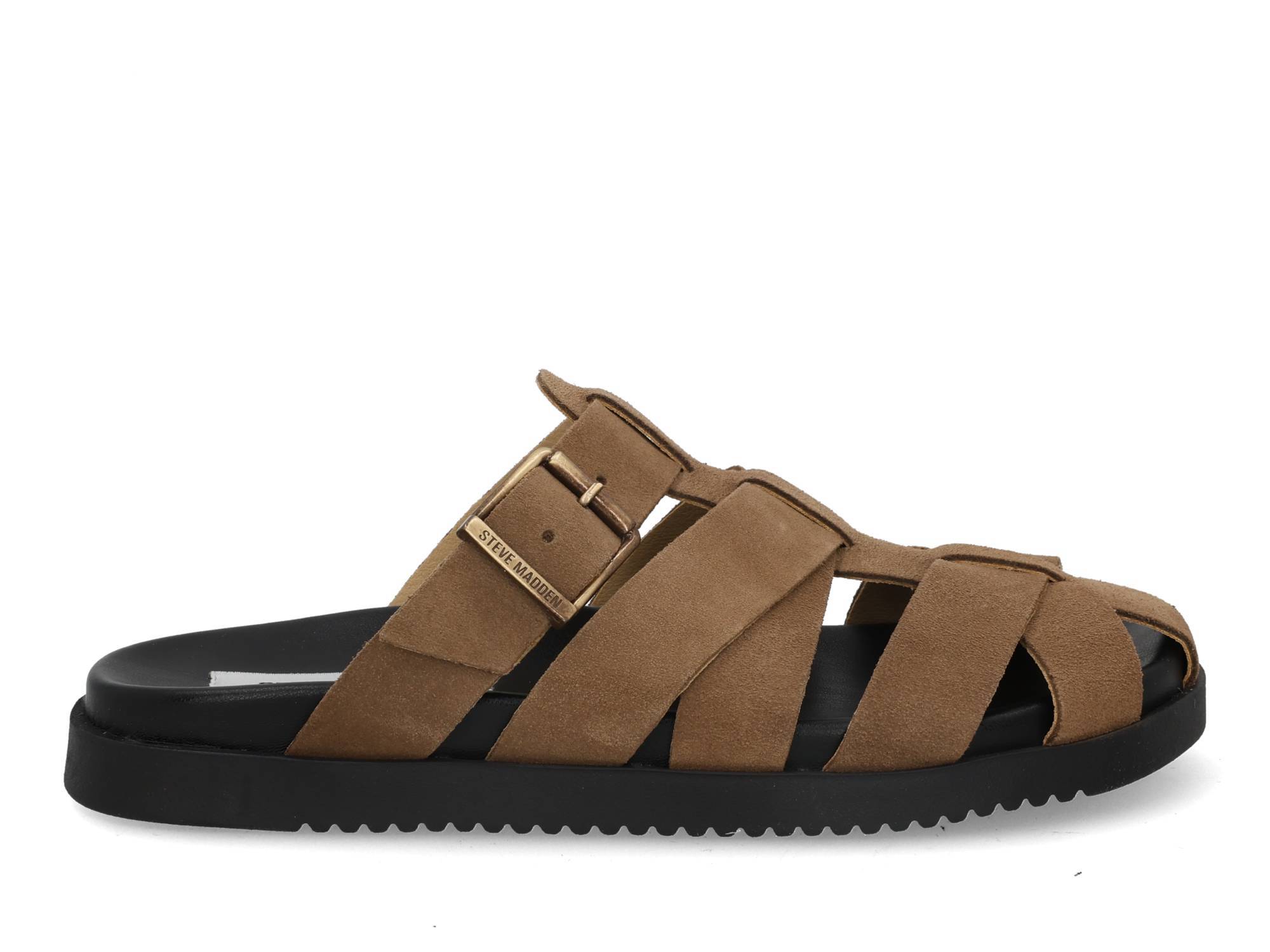Steve Madden Mamba taupe taupe