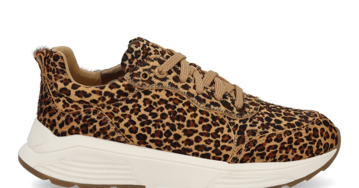 Xsensible Chain 33009.4 625 leopard | Shoesbyboudewijns.nl